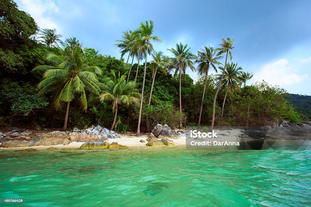 Tropical beach Taling Ngam. Koh Samui island Thailand Palm tree with sunny day. Taling Ngam Beach. Koh Samui island. Thailand.Palm tree with sunny day. Taling Ngam Beach. Koh Samui island. Thailand. 2015 Stock Photo