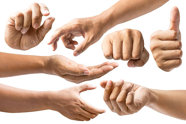 Set of hand Set of the human hand in various action isolated on white background with clipping path men hands stock pictures, royalty-free photos & images