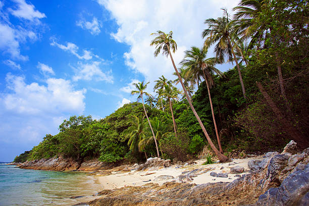 istock Tropical beach Taling Ngam. Koh Samui island Thailand 485167852