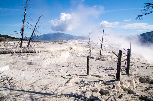 Barren landscape of Upper Terraces at Mammoth Hot Springs in Yellowstone Park