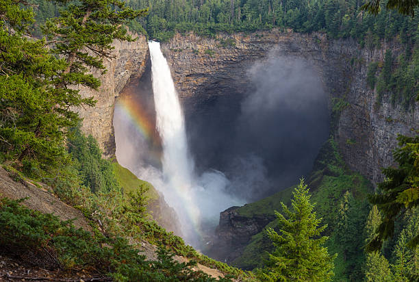 Chutes Helmcken Falls Banque d'images et photos libres de droit iStock