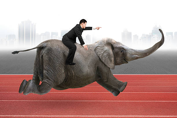 istock Businessman with pointing finger gesture riding on elephant 485178644