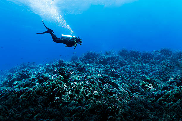 Woman Scuba Diving Over Huge Reef in Rangiroa, French Polynesia A DSLR underwater photo of a woman scuba diving in Tiputa Pass, Rangiroa, French Polynesia. She is swimming in profile to the camera from left to right over a big reef with some scattered small fishes.  The water is clear blue with many meters in visibility. She is letting go lots of bubbles. diving into water stock pictures, royalty-free photos & images