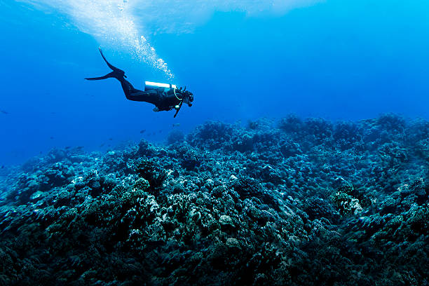 Woman Scuba Diving Over Huge Reef in Rangiroa, French Polynesia A DSLR underwater photo of a woman scuba diving in Tiputa Pass, Rangiroa, French Polynesia. She is swimming in profile to the camera from left to right over a big reef with some scattered small fishes.  The water is clear blue with many meters in visibility. She is letting go lots of bubbles. deep sea diving underwater underwater diving scuba diving stock pictures, royalty-free photos & images