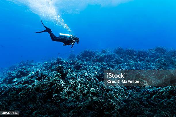 Woman Scuba Diving Over Huge Reef In Rangiroa French Polynesia Stock Photo - Download Image Now