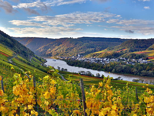istock Moselle landscape in autumn 485189275