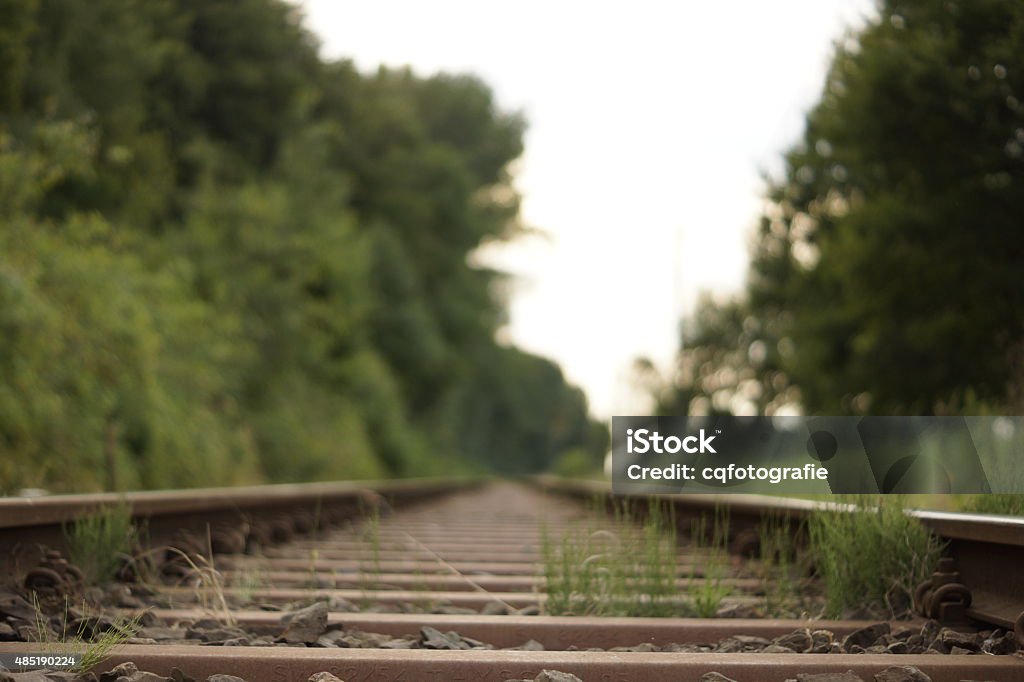 Rail Train tracks with a background blur 2015 Stock Photo