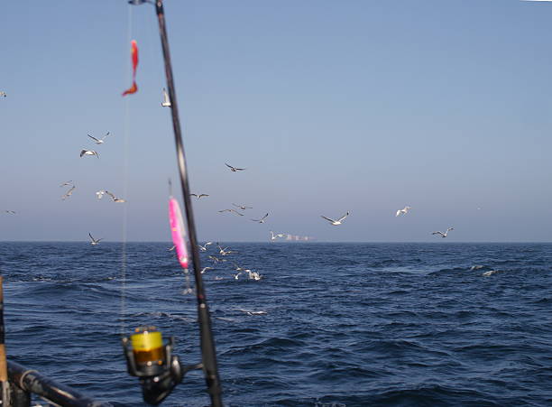 istock fishing-rod with spinning-wheel 485191393