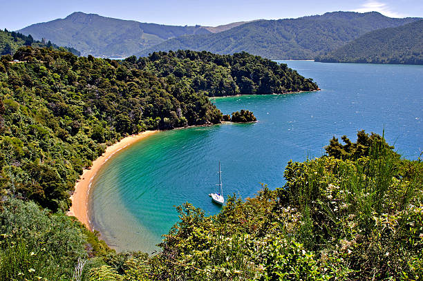 tipica scena panoramica spiaggia, abel tasman - abel tasman foto e immagini stock