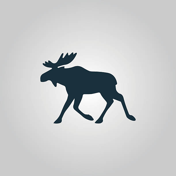 ilustrações, clipart, desenhos animados e ícones de moose ilustração vetorial - alce
