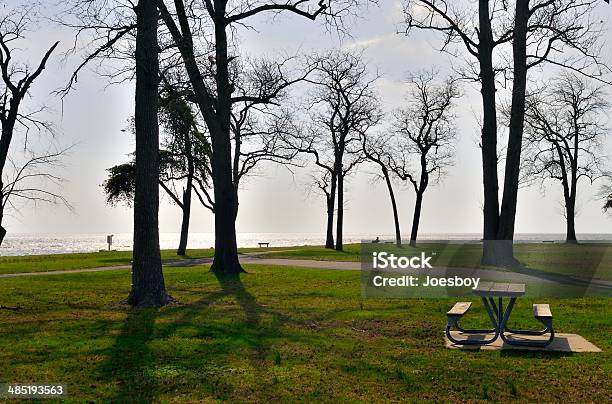 Fort Smallwood Park Morning Stock Photo - Download Image Now - April, Bare Tree, City