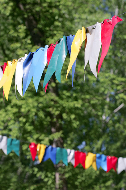 istock colorful bunting flags against green forest 485193570