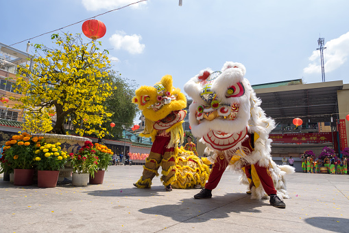 Ho Chi Minh, Vietnam - February 18, 2015: Lion dancing to celebrate Lunar New Year at Nghia An Pagoda, Cho Lon.