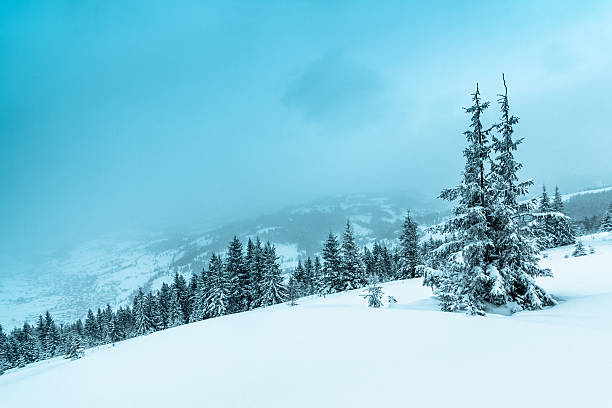 istock Beautiful winter landscape with snow covered trees 485200990