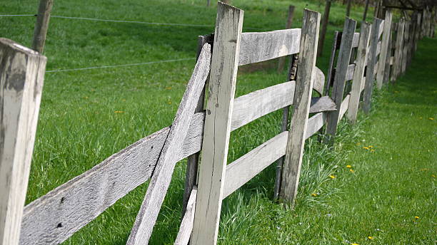 istock The fence to nowhere 485201630