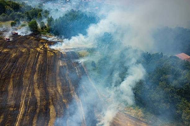 istock Fireman truck working on the field on fire 485202106