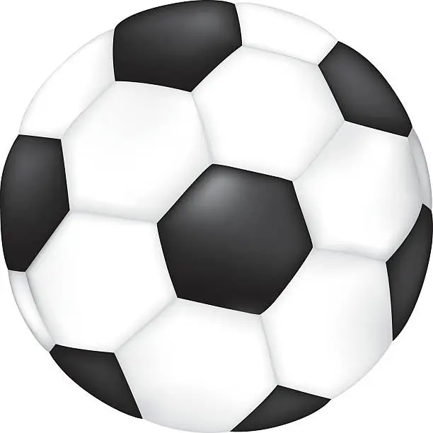 Vector illustration of Object illustration sporting goods soccer ball