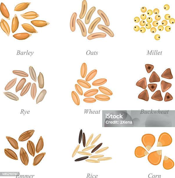 Icon Set Of Cereal Grains Part 3 Stock Illustration - Download Image Now - Spelt, Cereal Plant, Rice - Cereal Plant