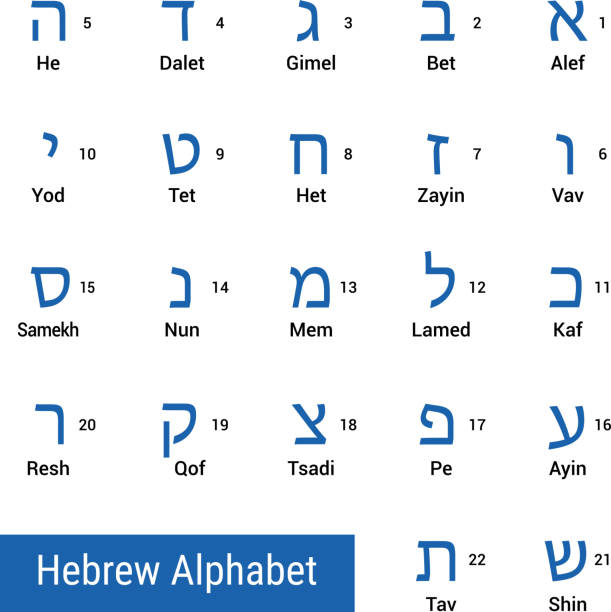 Hebrew alphabet Letters of Hebrew alphabet with names in english and sequence numbers. Vector illustration. shin stock illustrations
