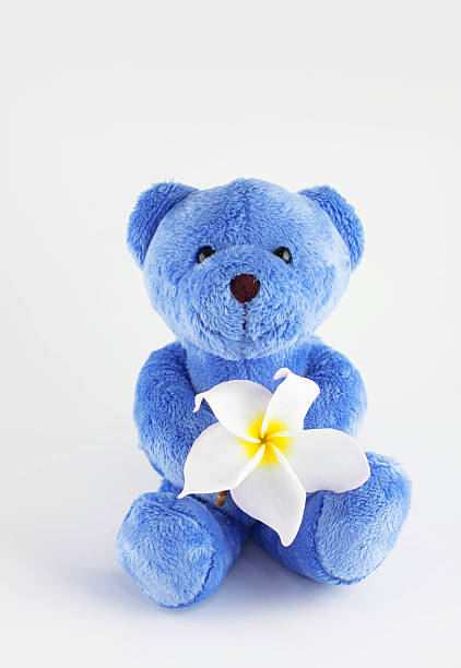 flower teddy bear blue