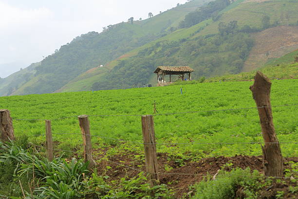 istock Collection Tent in Farm 485220482