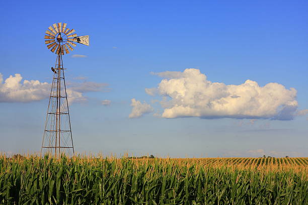 Windmill Graces Iowa Cornfield This old, weathered windmill in northeast Iowa catches the glow of the late afternoon sun across this cornfield.  iowa stock pictures, royalty-free photos & images