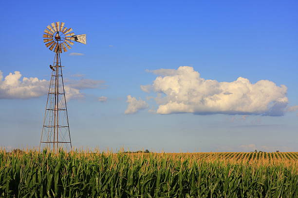 Windmill Graces Iowa Cornfield This old, weathered windmill in northeast Iowa catches the glow of the late afternoon sun across this cornfield. rural main street stock pictures, royalty-free photos & images