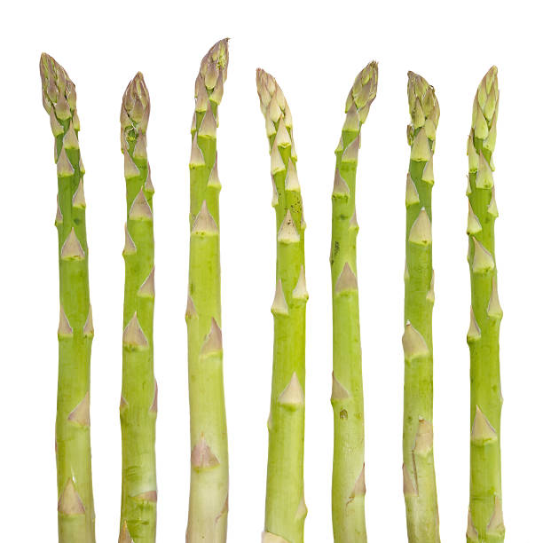 istock Fresh green asparagus isolated on white background 485226592