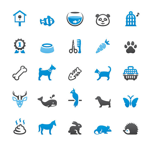 illustrazioni stock, clip art, cartoni animati e icone di tendenza di animali e animali relative icone vettoriali - dog animal bone dog bone dog food