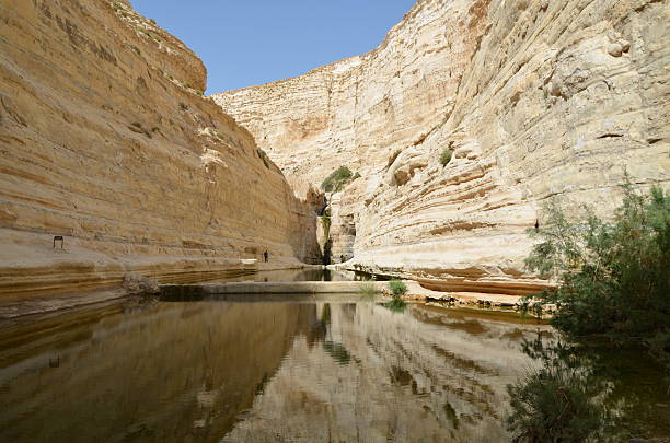 istock En Avedat, Negev Desert Israel 485232228