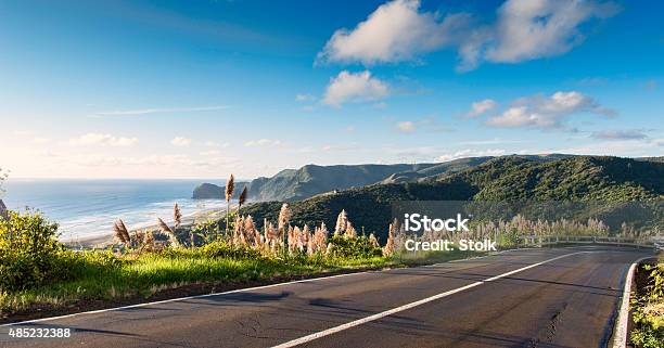 Piha At A Distance Stock Photo - Download Image Now - Road, New Zealand, Beach