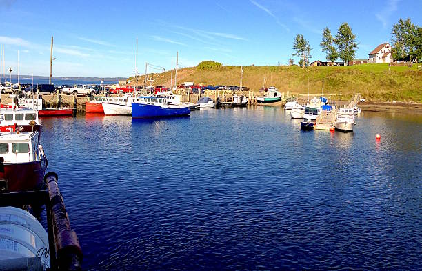 tancook island - mahone bay photos et images de collection