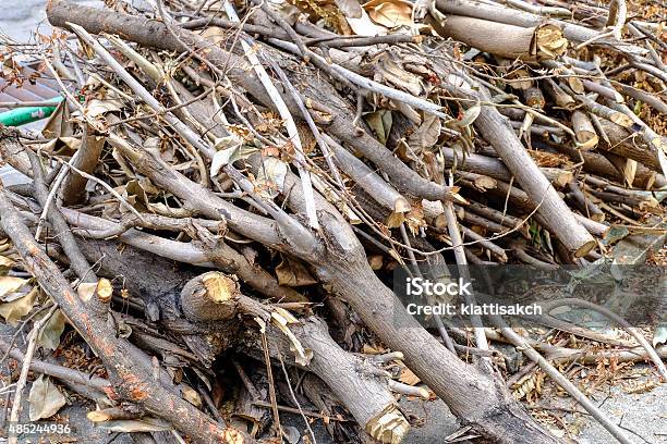 An Image Of A Lot Of Pyre Woodpile Stock Photo - Download Image Now - 2015, Barn, Beach