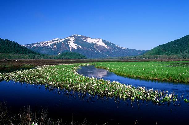 Oze in spring A picture was taken with a film camera in may. gunma prefecture stock pictures, royalty-free photos & images