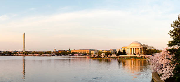 Panoramic of Washington DC tidal basin with cherry blossom -XXXL stock photo