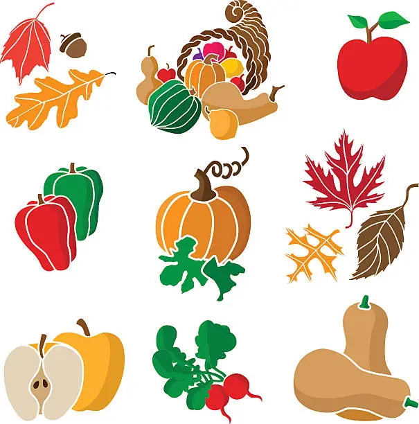 Vector illustration of autumn icon set and design elements