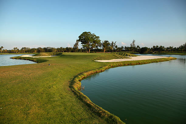 istock Tropical golf course at sunset, Dominican Republic, Punta Cana 485253917