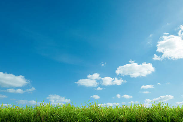 istock green grass and blue sky with clouds 485254215