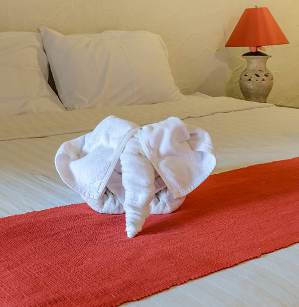 istock White towel in form of elephant on bed 485255056