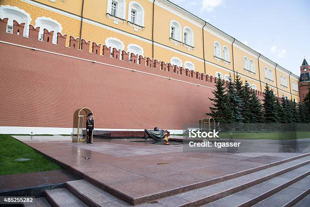 Eternal Fire And Tomb Of Unknown Soldier Stock Photo - Download Image Now - 2015, Alexander Garden, Armed Forces