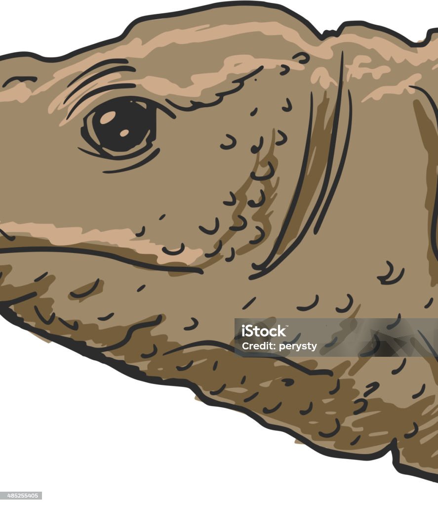 dragon de Komodo - clipart vectoriel de Animaux à l'état sauvage libre de droits