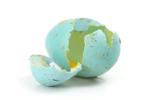 Broken Blue Eggs