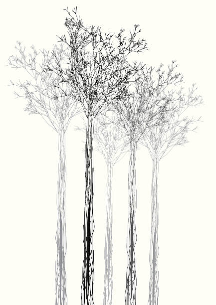 ilustraciones, imágenes clip art, dibujos animados e iconos de stock de abstracto blanco y negro fondo con forma de árbol - rama parte de planta