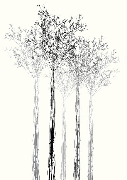 illustrations, cliparts, dessins animés et icônes de abstrait noir et blanc de fond en forme - abstract tree