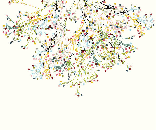 ilustrações, clipart, desenhos animados e ícones de fundo com padrão abstrato de planta colorida - floral pattern vector illustration and painting computer graphic