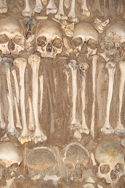istock Chapel of bones in Evora, Portugal 485258130