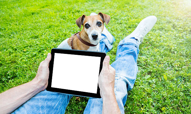 touchpad fora de trabalho - white dog audio imagens e fotografias de stock