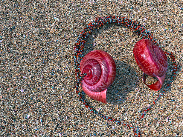 Headphones from seashells on the sand as vacation tourism relaxing concept background