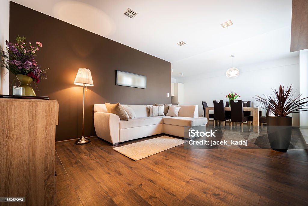 Modern living room with kitchen Luxurious living room with kitchen area Flooring Stock Photo