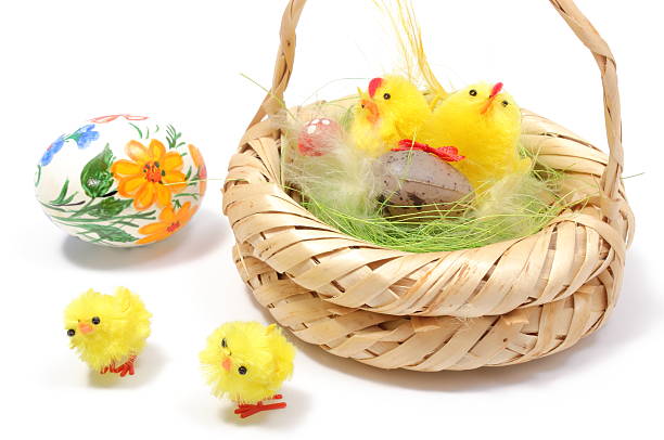 istock Easter chickens in wicker basket and painted egg 485259411